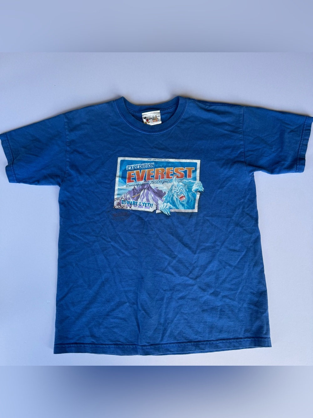 Vintage Disney World Expedition Everest Yeti Animal Kingdom Kids Shirt